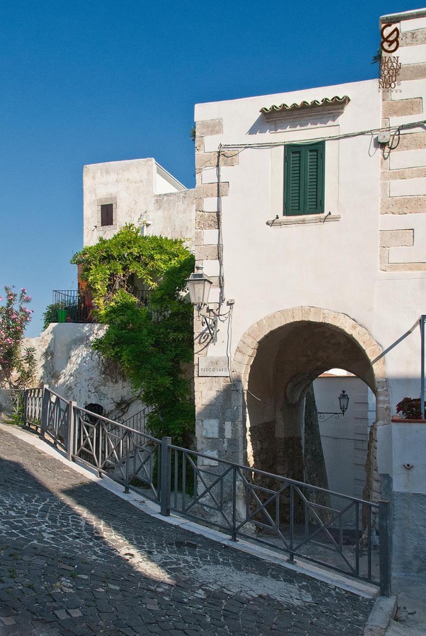مبيت وإفطار فيستَ Torre La Mezzaluna المظهر الخارجي الصورة